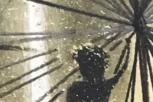 Maurer / Stach: Disco teuferl. Detail. 2017