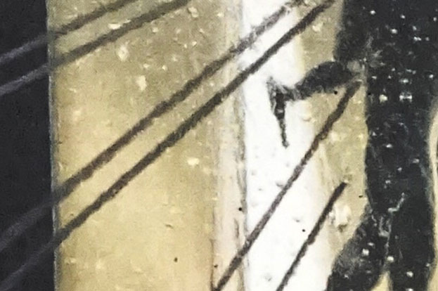 Maurer / Stach: Disco teuferl. Detail. 2017