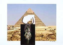 Maurer / Stach: MS I. 2017