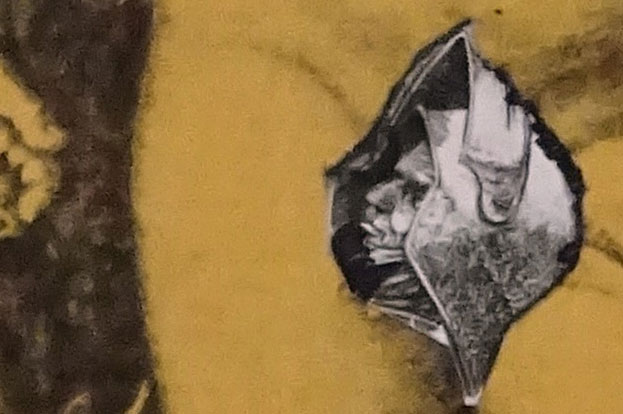 Maurer / Stach: preasidium in tempationem. Detail. 2017