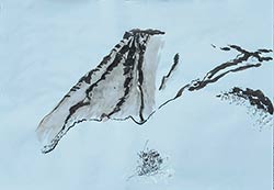 Walter Stach: Skizze zu Calanchi, 2024