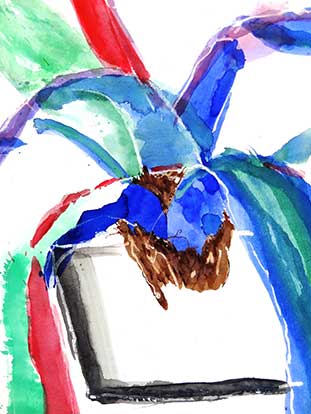 Walter Stach, Agave, 2012. Detail