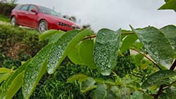 Walter Stach: Calanchi – Panoramico Dinosauri, Fotos vom Studienaufenthalt in der Emilia-Romagna, 2024