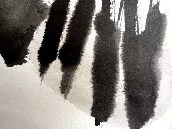 Walter Stach, chin.coll, Detail, 2011