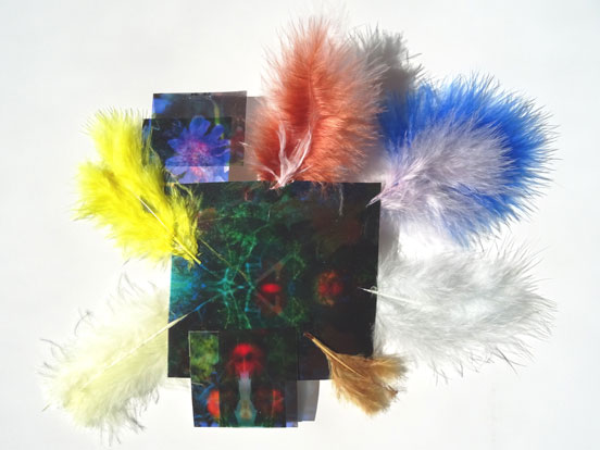 Maurer, Stach: Feather Garden. 2018