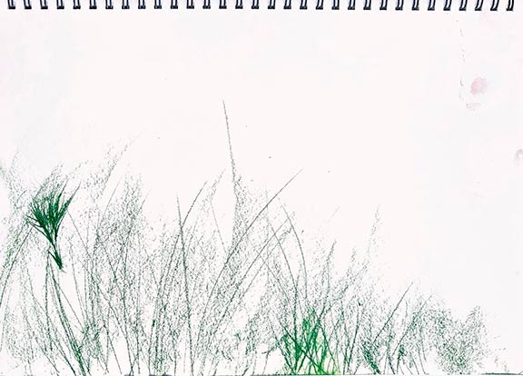 Walter Stach, Sketch on Calanchi, 2024