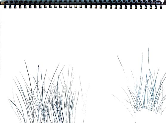 Walter Stach, Sketch on Calanchi, 2024