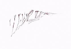 Walter Stach: Sketch on Calanchi, 2024