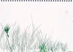 Walter Stach: Sketch on Calanchi, 2024