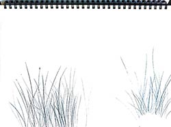 Walter Stach: Sketch on Calanchi, 2024