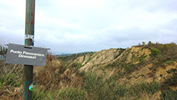 Walter Stach: Calanchi – Panoramico Dinosauri, Fotos vom Studienaufenthalt in der Emilia-Romagna, 2024