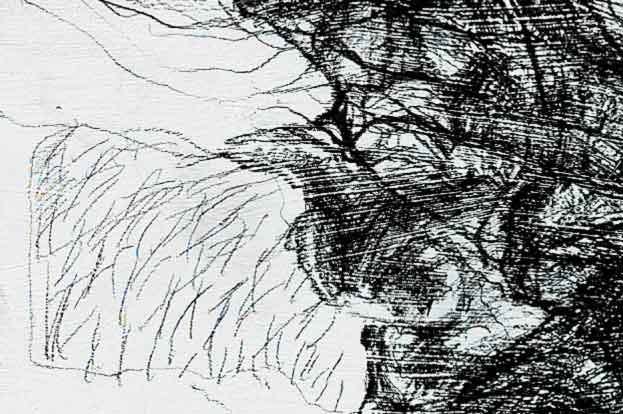 Landschaft ohne Namen / paesaggio senza nome, Ausschnitt