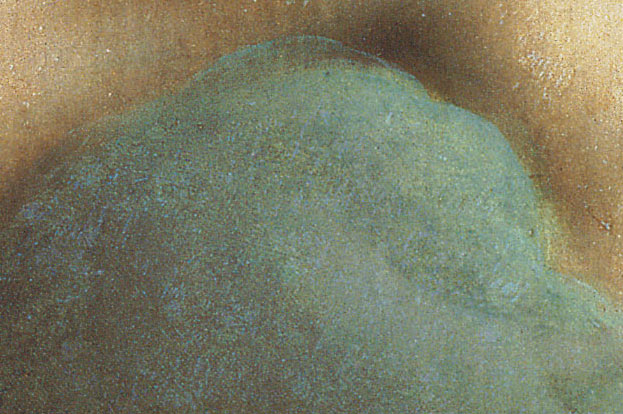 Correggio, Jupiter und Io, Ausschnitt