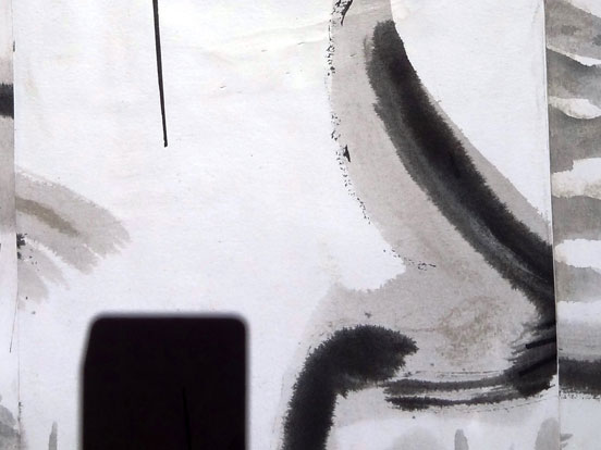 Walter Stach, chin.coll, Detail, 2011