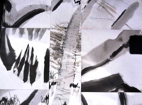 Walter Stach, chin.coll, Detail, 2011